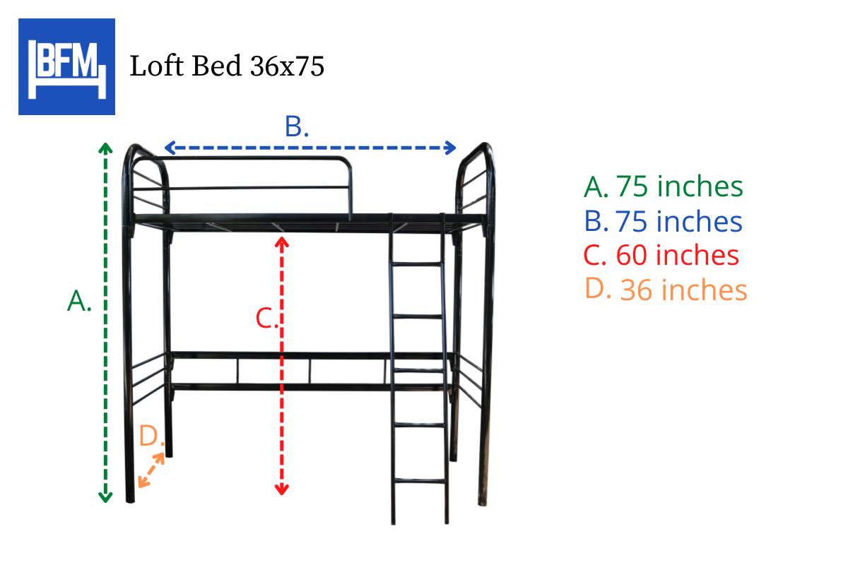 Loft Bed Single Size Heavy Duty 36x75 Measurement